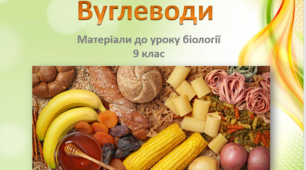 Презентація "Вуглеводи. Будова та класифікація"