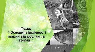 Презентація на тему:“ Основні відмінності тварин від рослин та грибів ”