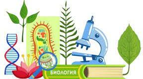 Діагностична тестова робота для 7 класу