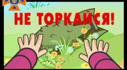 Правила безпеки під час прогулянок.
