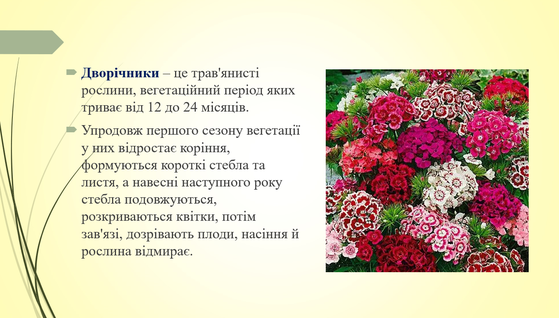 030174sm-3bbf-559x318.png