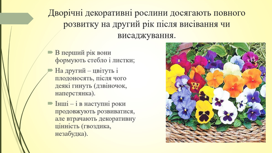 030174su-b6b3-558x314.png