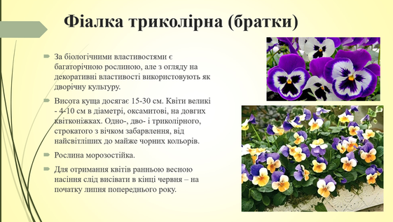 030174t2-42c1-561x317.png