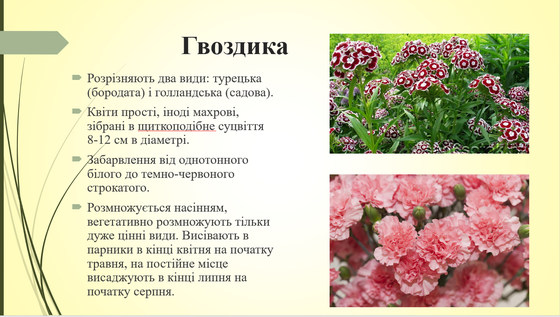 030174ti-e062-560x317.png