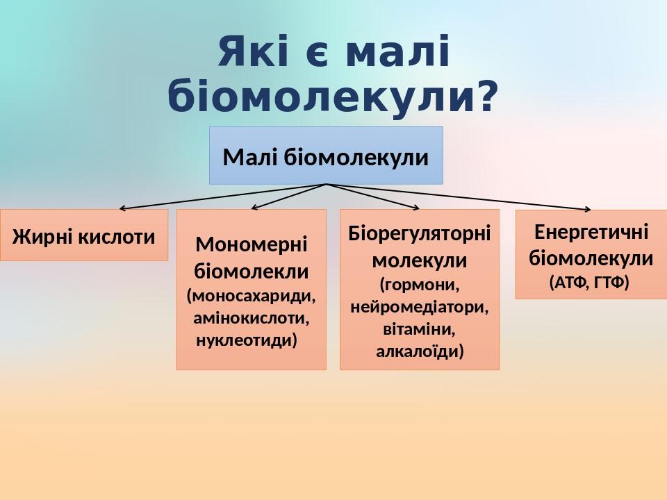 Презентація "Органічні молекули. Поняття про біологічні макромолекули ...