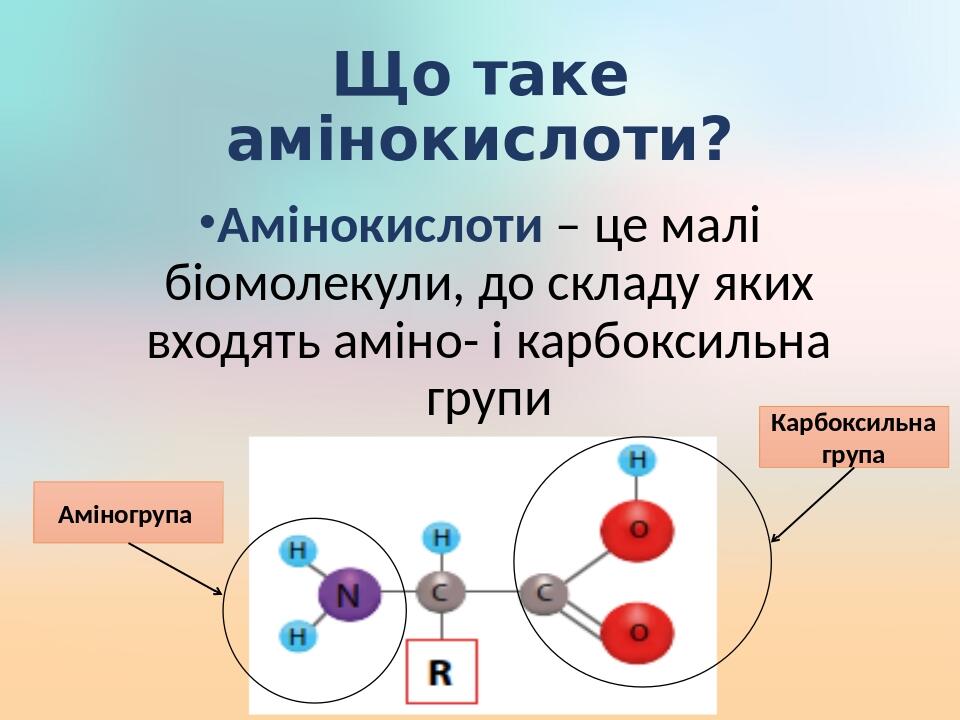 Презентація "Органічні молекули. Поняття про біологічні макромолекули ...