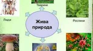Біологія - наука про живу природу. Різноманітність життя 