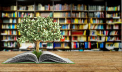Лучшие книги по финансовой грамотности