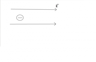 03017hhj-7f38-314x205.png