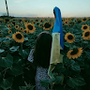 https://fs03.vseosvita.ua/03017jya-a260-90x90.png