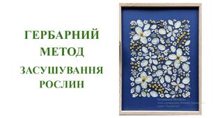 Презентація "Гербарний метод засушування рослин"