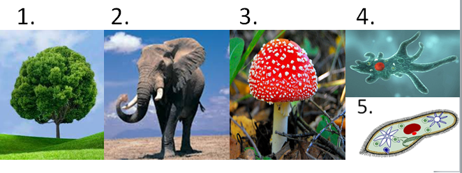 03017sc1-6088-662x249.png