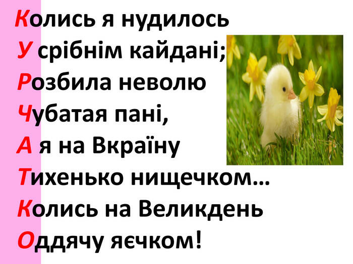 03017tyl-9341-700x525.jpg