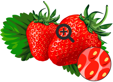 03017u5p-377a-385x278.png
