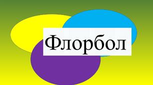Презентація на тему : Флорбол
