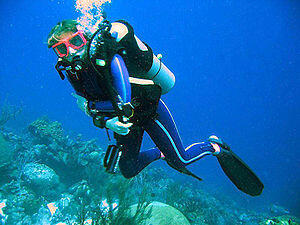 03017x7d-cfa2-300x225.jpg