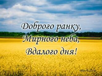 03017y2n-aad7-331x248.jpg
