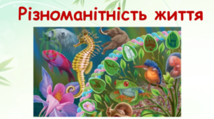 Різноманітність життя (на прикладах рослин, тварин, грибів, бактерій). Поняття про Віруси.