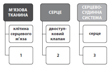 030184pv-cd1c-365x222.png