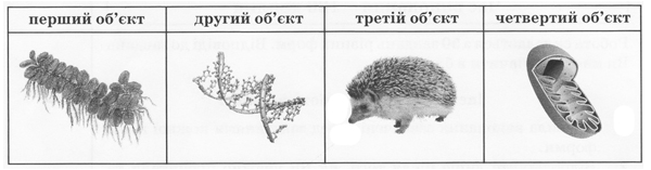 030184t5-7457-600x157.png