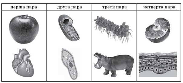 030184u5-5478-605x275.png