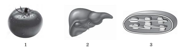 030184w5-d90b-605x164.png