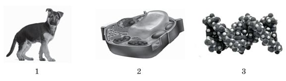 030184xf-7b86-581x165.png