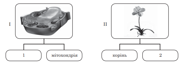 030184z1-6892-627x227.png