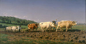 030185wx-abd9-474x242.jpg