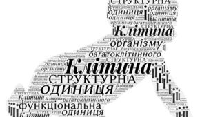 Робочий аркуш учня до теми " Організм людини як біологічна система. Різноманітність клітин організму людини".
