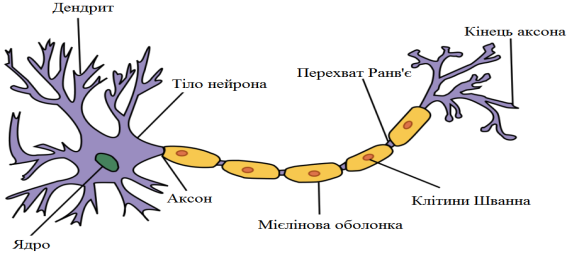 030189my-7477-567x253.png