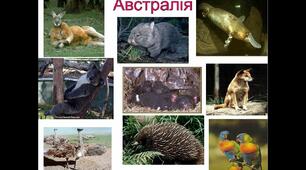 Тема " Австралія органічний світ "