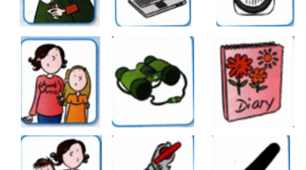 Fly High 4. Quiz 1