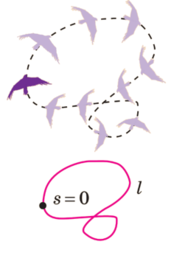 03018f2b-9c03-174x261.png