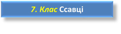 03018g3y-cc58-402x116.png