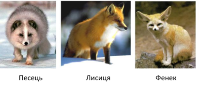 03018n5n-8f0a-413x181.png