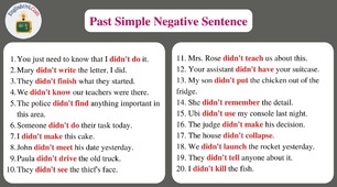  Past Simple (negative+questions)