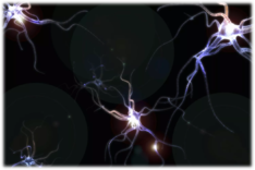 03018sl3-a5a4-234x156.png