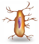 03018sle-0b88-166x191.png