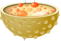 03018sp0-fe5c-195x133.png