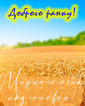 03018sq0-c2f1-290x363.jpg