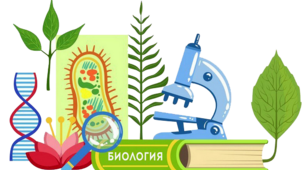 Презентація "Різноманітність життя на Землі"