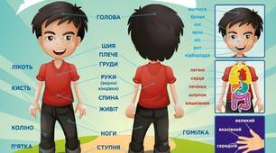 Заняття  ознайомлення з довкіллям  у вигляді презентації "Частини тіла людини"