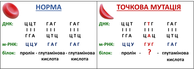 03018y03-0797-676x243.png
