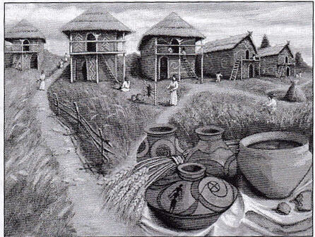 03018y22-65e4-446x336.jpg