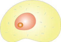 03018yfx-8aa8-206x143.png