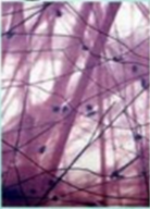 030196f7-d3a5-138x192.png