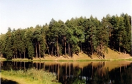 030196ty-7cf0-521x333.png