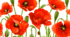 Патріотичні фони для презентацій (4:3) 10 штук!