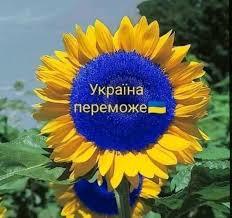 Валентина Мала: УКРАЇНА ПЕРЕМОЖЕ - ВІРШ, Вірші, поезія. Клуб поезії